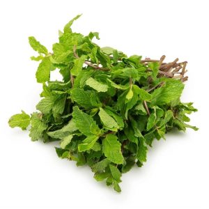 Pudina Pata